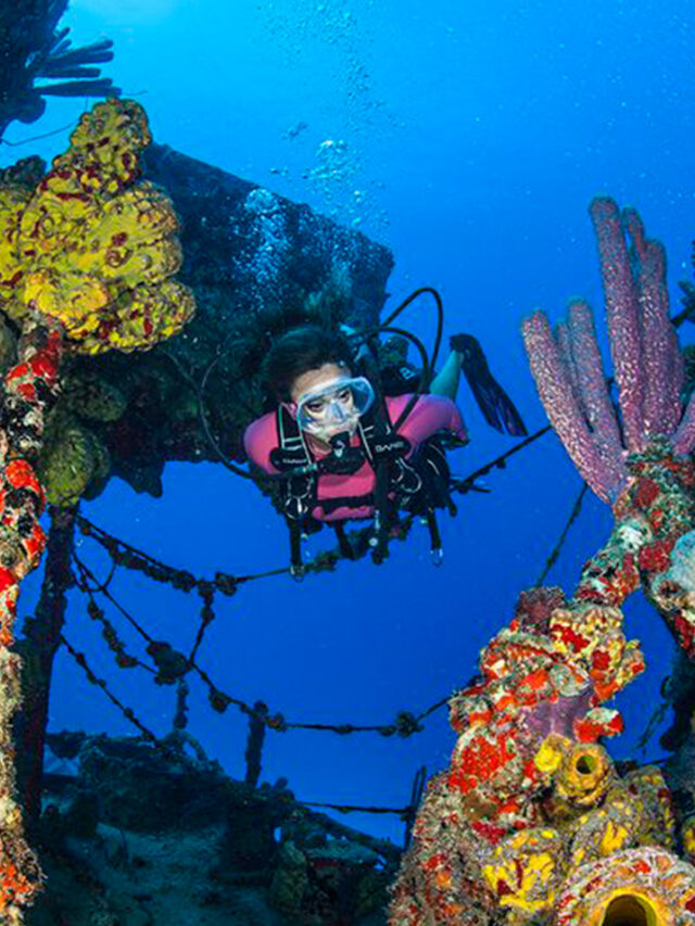 10 Best Scuba Diving Beaches in the Caribbean
