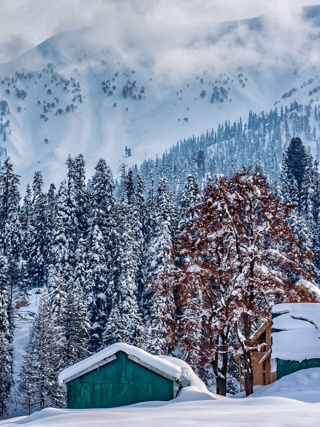 10 Best Things To Do In Kashmir