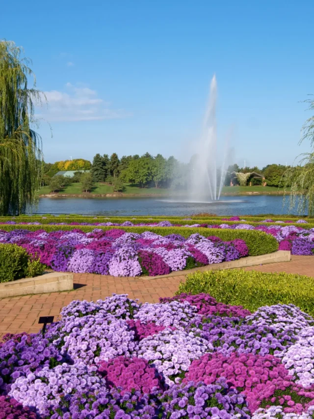 8 Best USA Beautiful Gardens to Visit