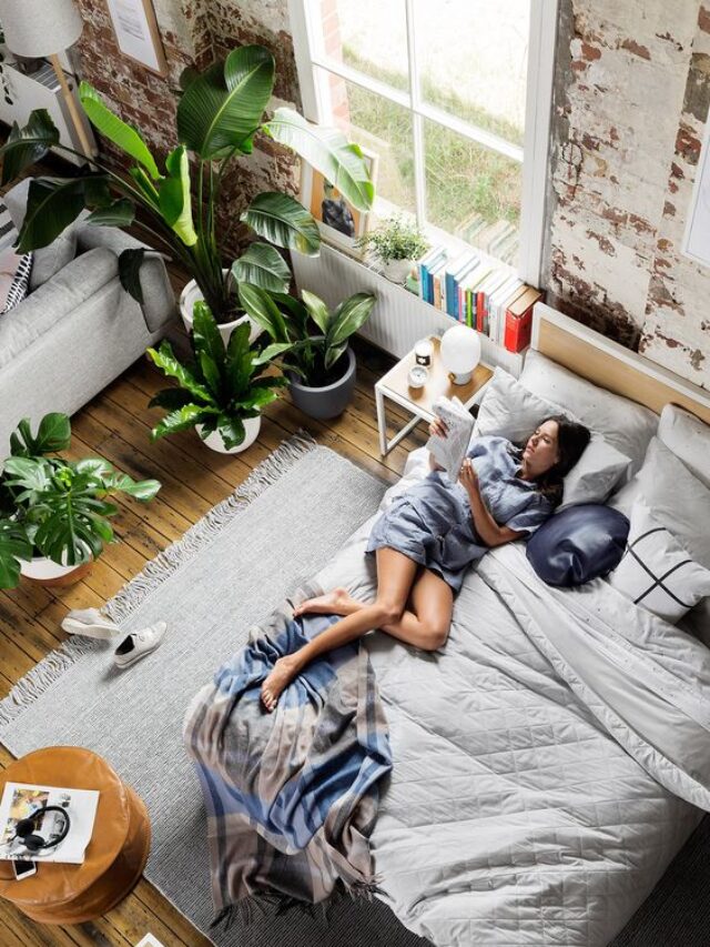 8 Best Bedroom Plants For Cleaner Air And Better Sleep