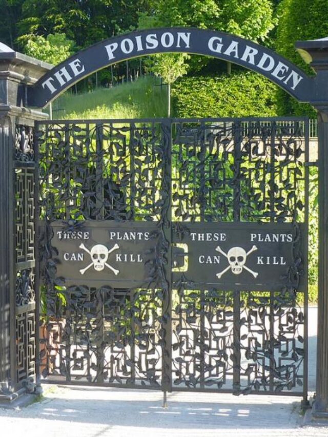 USA's Poison Garden: Horticultural Wonders Await