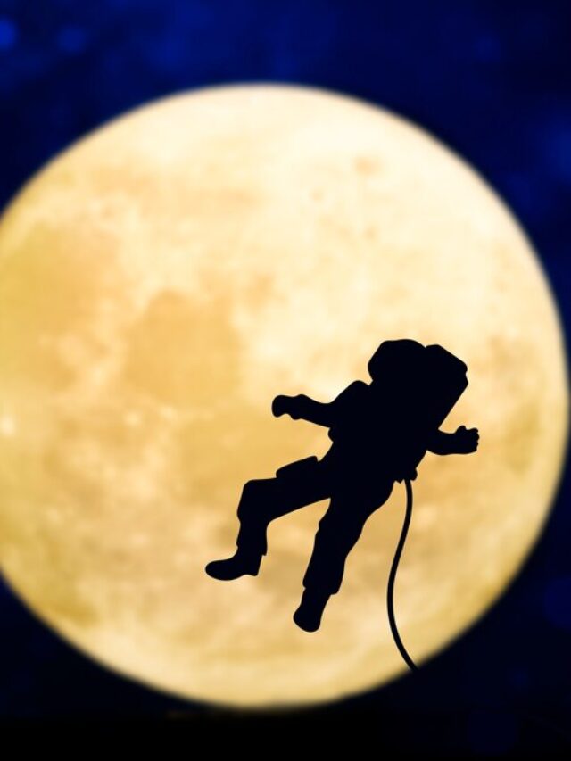 3 Zodiacs Whose Careers Will Be Impacted By The New Moon On February 9