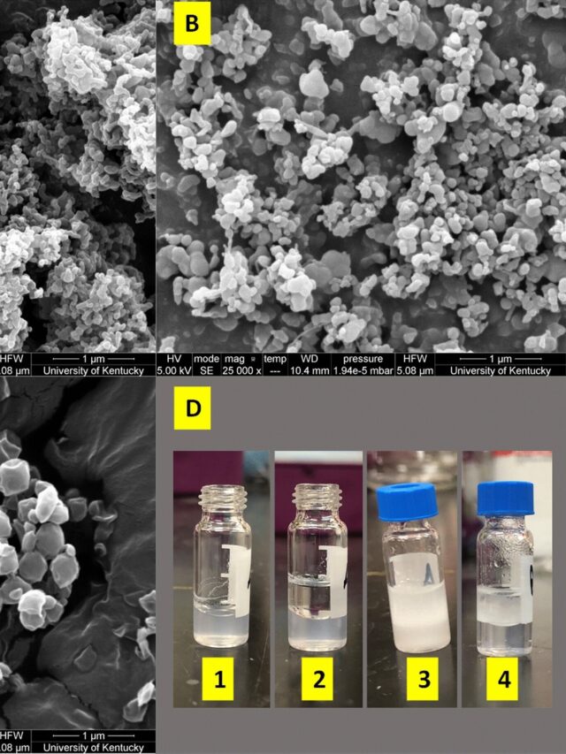 Eco-Friendly 'Magnet' Developed to Combat Microplastics1
