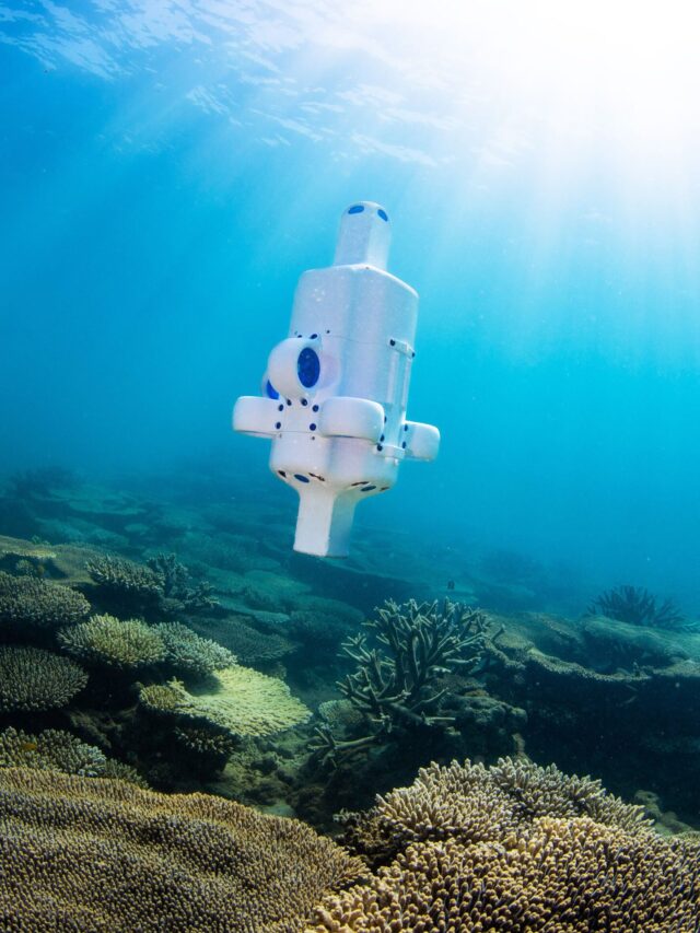 Diminutive Deep Sea Drone Dives for Wrecks and Reefs
