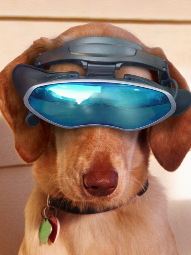 Top 10 Tech Gadgets Under $50 for Pet Owners