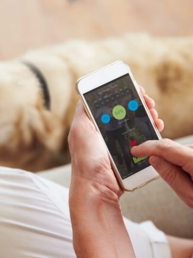 Top 7 Gadgets for Pet Health Monitoring