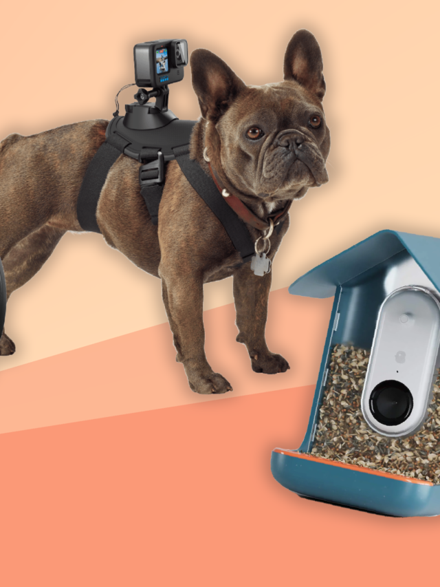 Tech Gadgets for Pet Lovers