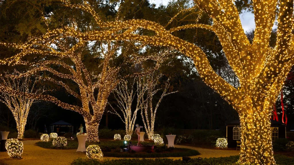 Explore Baton Rouge's newest vacation destination, Louisiana. Lights of Louisiana