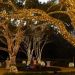 Explore Baton Rouge's newest vacation destination, Louisiana. Lights of Louisiana