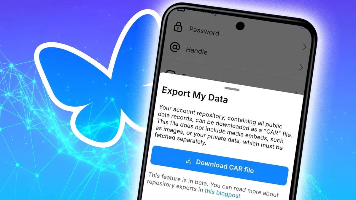 Directions For Exporting Your Bluesky Data And Removing The Account