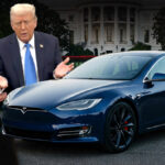 Trump's attempts to assist Tesla might really do the opposite