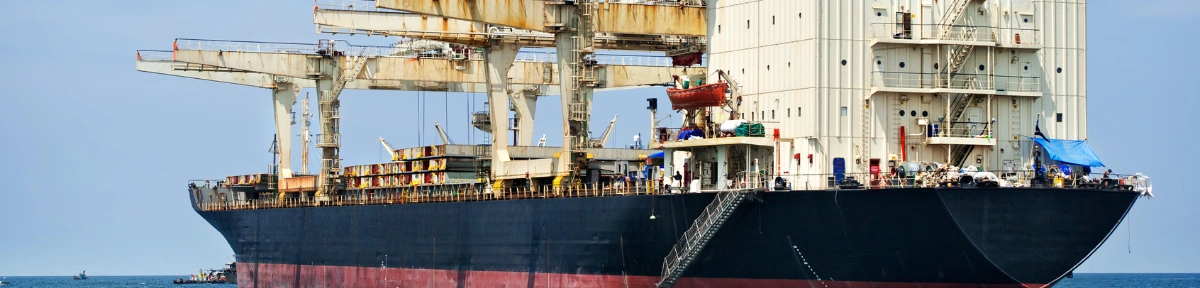 India–US Trade Talks: Concessions, US Cotton, and Concerns Ahead of Key Negotiations 9 India–US Trade Talks: Concessions, US Cotton