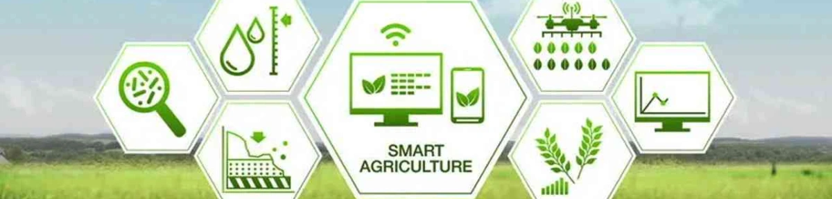 Bill Gates Warns of AI Valuation Risks