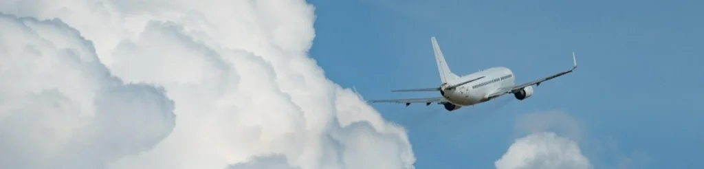 A Long Term Vision for Resilience