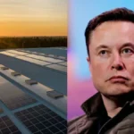 Chinese Solar Giant Jinko Visited by Elon Musks Team State Backed Media Reports