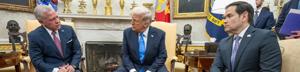 Domestic Political Calculations