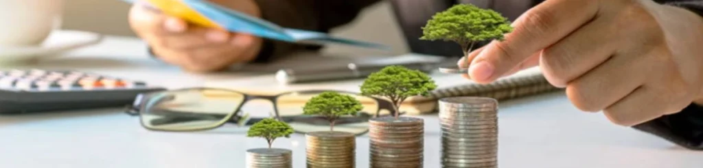 Long Term Winners May Expand