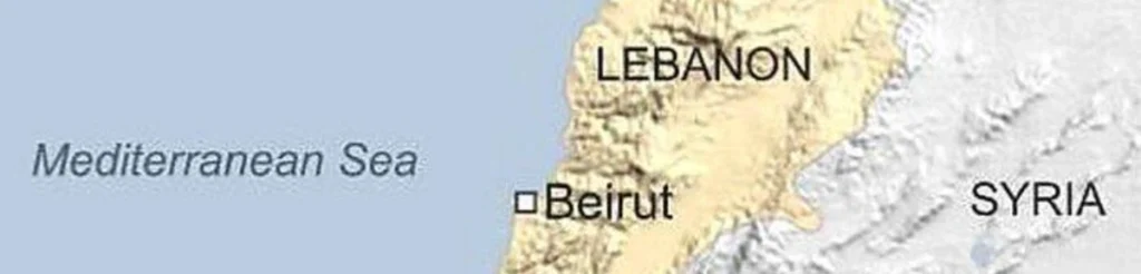 The Regional Dimension